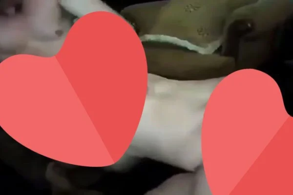 Aslı Abla Zorlanıyor